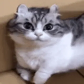 🤤