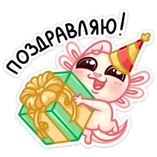 🥳 ПОЗДРАВЛЯЮ! aksolotl, święto, gratulacje, prezent, słodki, czapeczka urodzinowa whatsapp sticker