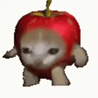🍎 cat, apple, funny, meme, animal, fruit, sticker whatsapp sticker