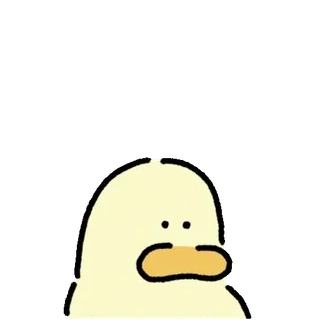💬 anatra, cartone animato, animale, carino, adesivo telegram sticker