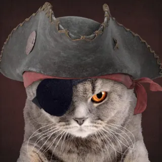 🤨 gatto, pirata, animale, benda sull'occhio, cappello, animale domestico telegram sticker