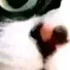 😄