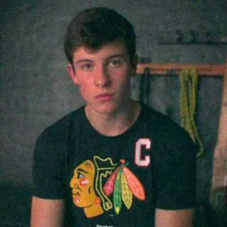 SHAWN REACTS telegram stickers