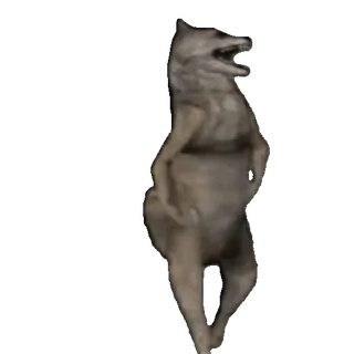 🤩 wolf, animal, funny, meme, standing, dog whatsapp sticker