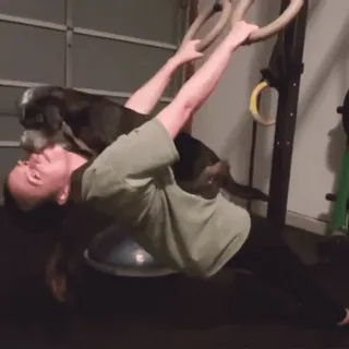 🤩 Hund, Frau, Fitness, Übung, Gymnastik, Training, Haustier, Tiere telegram sticker