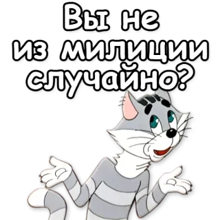 👮 Вы не из милиции случайно? cat, question, russian, police, cartoon, animal whatsapp sticker