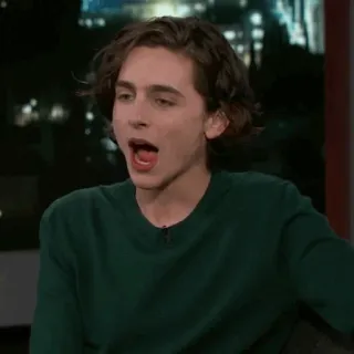 💎 Timothée Chalamet diễn viên, người nổi tiếng, Timothée Chalamet, người, đàn ông telegram sticker