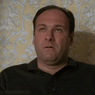 🤨 Tony Soprano The Sopranos telegram sticker