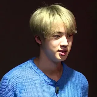 🐟 Jin K-pop, cantante, maschio, ritratto, celebrità, BTS telegram sticker