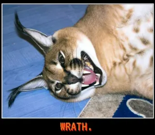 🐱 WRATH. Katze, Floppa, Zorn, Tier, Meme telegram sticker