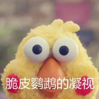 🤓 脆皮鹦鹉武鹉的凝视 bird, stuffed animal, toy, chinese text telegram sticker