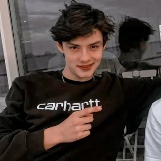 😃 carhartt uomo, adolescente, abbigliamento, Carhartt, maglione, ritratto whatsapp sticker