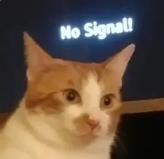 😐 No Signal! cat, no signal, funny, meme, animal, television, pet whatsapp sticker