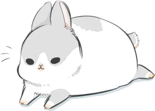 🐇 królik, zajączek, słodki, zwierzę, zwierzę domowe, domowy telegram sticker