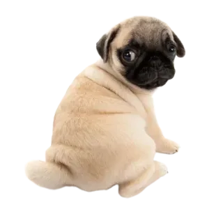 @emojis4 telegram stickers