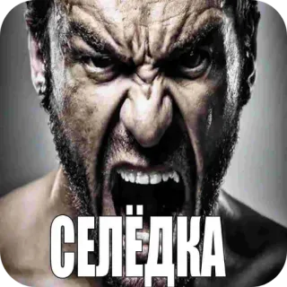 🖼 Wolverine Marvel Comics СЕЛЁДКА telegram sticker