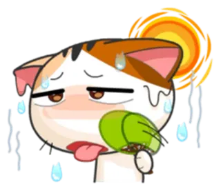 ☀ gato, suando, quente, exaustão, animal, desenho animado, adesivo telegram sticker