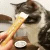 🐾