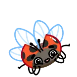 🤩 mariquita, insecto, lindo, dibujos animados, pegatina, volando, bicho, rojo, negro whatsapp sticker