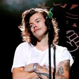 😏 Harry Styles singer, celebrity, musician, pop star, harry styles, one direction telegram sticker