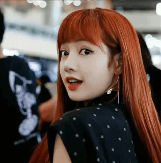 🥂 Lisa Lisa, Blackpink, K-pop, penyanyi, idola, rambut merah telegram sticker