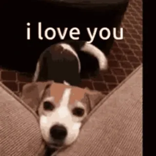 ❤️ i love you perro, amor, cariño, mascota, lindo, animal telegram sticker