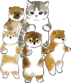🐶 gato, gatinho, fofo, animais, animais de estimação, desenho, ilustração telegram sticker