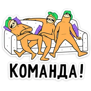 🤯 КОМАНДА! ナマケモノ, チーム, ソファ, 怠惰, 動物, ロシア telegram sticker