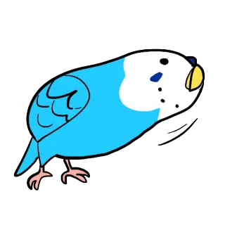 😗 burung, parkit, biru, imut, hewan, hewan peliharaan telegram sticker