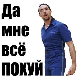 🖕 Да мне всё похуй funny, meme, russian, phrase, indifferent telegram sticker