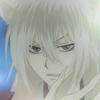 ☁️ Tomoe Kamisama Kiss Anime, Fuchs, Dämon, Tomoe, Kamisama Kiss, Manga, Charakter telegram sticker