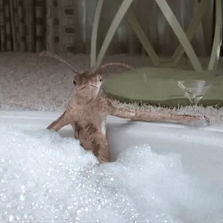 🛁 telegram sticker