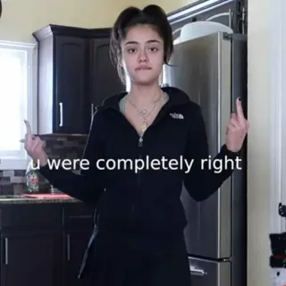 😡 u were completely right dedo do meio, ofensivo, gesto, adolescente, atitude telegram sticker