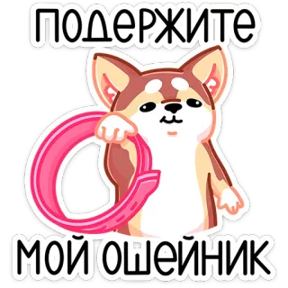 🐕 ПОДЕРЖИТЕ МОЙ ОШЕЙНИК 개, 목걸이, 귀여운, 애완 동물, 동물, 만화 telegram sticker