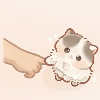 ✨ gato, gatinho, fofo, kawaii, animal de estimação, animal, dedo, fofo telegram sticker
