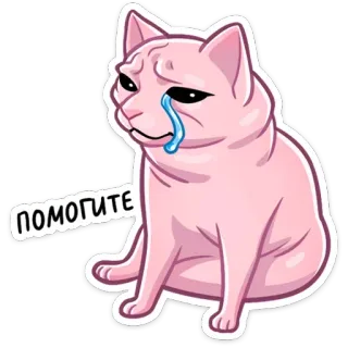 🆘 помогите sad cat, crying, help, meme, distressed telegram sticker