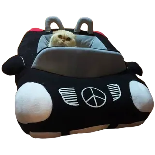 🚗 cat, car, pet bed, animal, cute, kitten telegram sticker