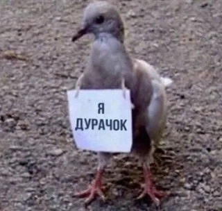 😞 Я ДУРАЧОК telegram sticker