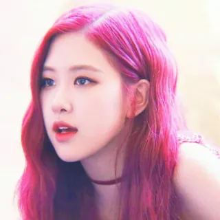 🌹 Rose kpop, rose, pelo rosa, cantante, celebridad, mujer telegram sticker