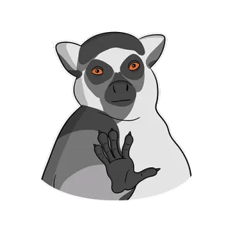 ✋ lémurien, animal, faune, primate, mammifère telegram sticker