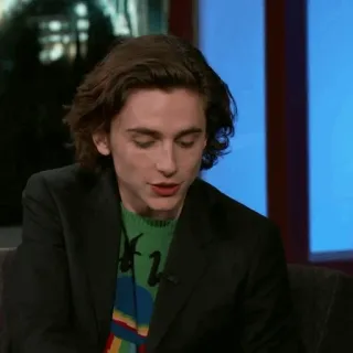 🥀 Timothée Chalamet diễn viên, người nổi tiếng, Timothée Chalamet, đàn ông telegram sticker