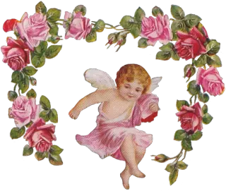 😇 Cupid ангел, херувим, купидон, розы, цветы, винтаж, романтика telegram sticker