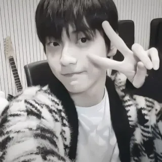🔖 Signe de paix, Selfie, Kpop, Homme, Sourire, Mignon telegram sticker