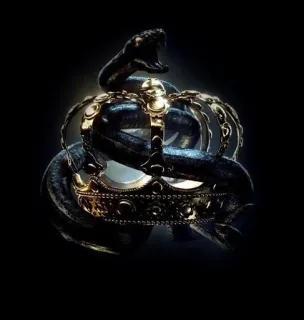 🔱 ヘビ, 王冠, 動物, 爬虫類, 高級, 黒, 金 telegram sticker