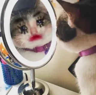 🤡 cat, makeup, mirror, crying, sad, animal, pet telegram sticker