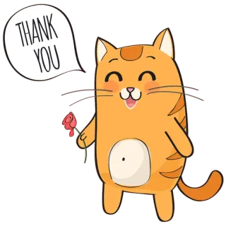 🐱 THANK YOU chat, merci, rose, salutation, mignon, animal, amitié whatsapp sticker