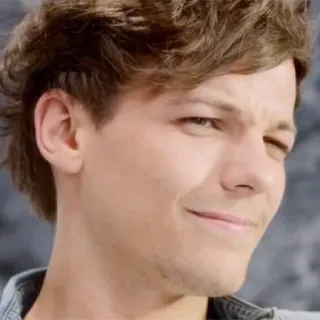 🙄 Louis Tomlinson Louis Tomlinson, One Direction, chanteur, célébrité, musicien, portrait telegram sticker