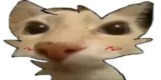 💋 Katze, süß, Tier, Meme, kawaii telegram sticker