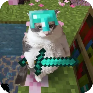 🧸 Minecraft kucing, Minecraft, pedang berlian, helm berlian, video game, hewan, meme, lucu whatsapp sticker