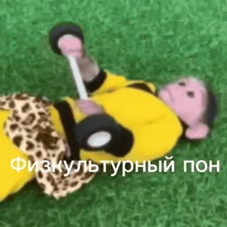 💪 Физкультурный пон monyet, dumbbell, hewan, kebugaran, olahraga telegram sticker